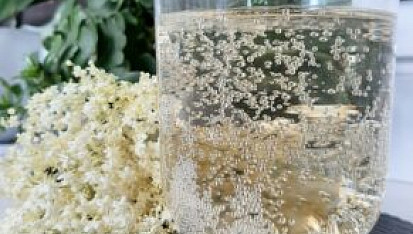 Bezový sirup z květů černého bezu-kosmatice