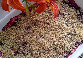 Crumble s borůvkami