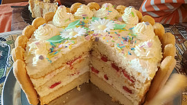 Výborný piškotový korpus na dorty