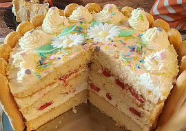 Výborný piškotový korpus na dorty