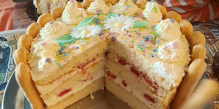 Výborný piškotový korpus na dorty