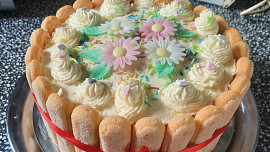 Výborný piškotový korpus na dorty