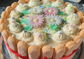 Výborný piškotový korpus na dorty