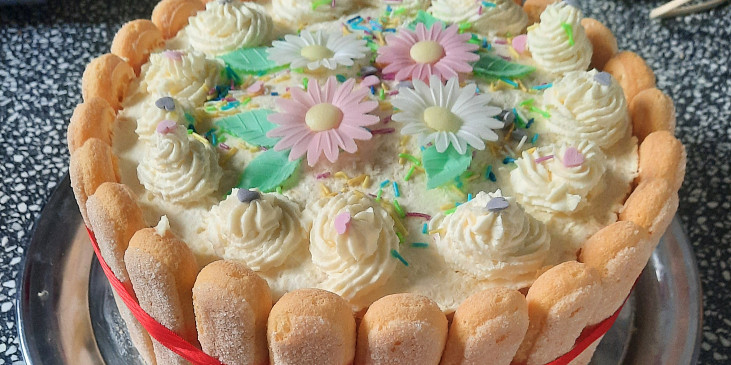 Výborný piškotový korpus na dorty