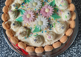 Výborný piškotový korpus na dorty