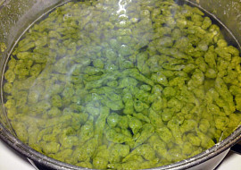 Špenátové halušky se slaninou a brynzou