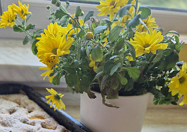 Olejová buchta (S broskvemi)