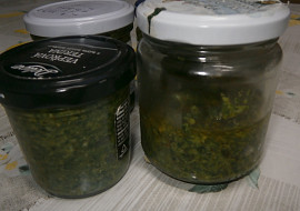 Pesto z medvědího česneku a vlašských ořechů