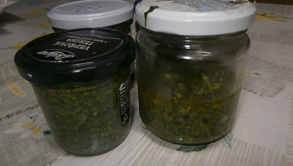 Pesto z medvědího česneku a vlašských ořechů