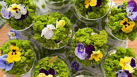 Rychlé mechové dortíky do skleniček