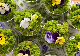 Rychlé mechové dortíky do skleniček