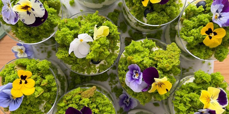 Rychlé mechové dortíky do skleniček