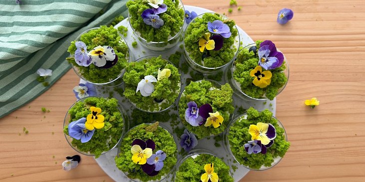 Rychlé mechové dortíky do skleniček