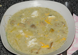 Rychlá kulajda