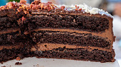 Sacher podle Josefa Maršálka