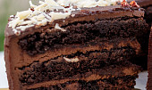 Sacher podle Josefa Maršálka