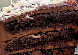 Sacher podle Josefa Maršálka