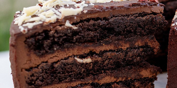 Sacher podle Josefa Maršálka