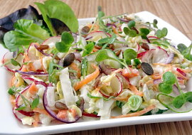 Barevný salát coleslaw