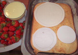 Jahodový kopec