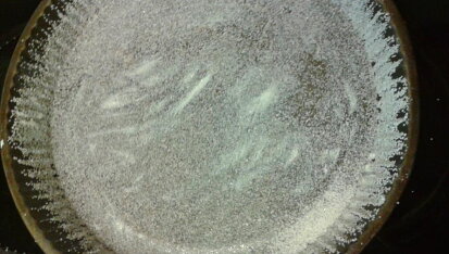 Clafoutis s angreštem a malinami