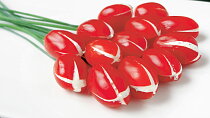 Rajčátkové tulipány