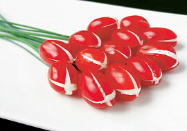 Rajčátkové tulipány