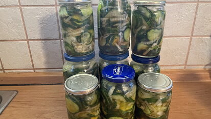 Americké okurky, Dnes zavařeno z 2,5 kg.