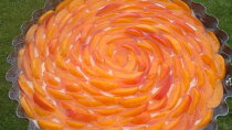 Nepečený meruňkový cheesecake