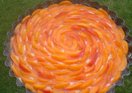 Nepečený meruňkový cheesecake