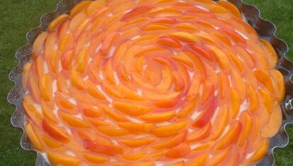 Nepečený meruňkový cheesecake