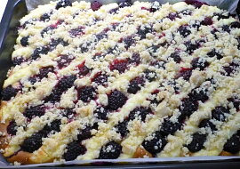 Kynutý ostružinový koláč s tvarohem – na plech