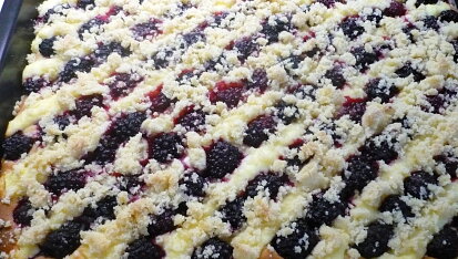 Kynutý ostružinový koláč s tvarohem – na plech
