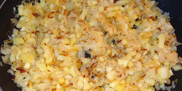 Jihočeská lepenice