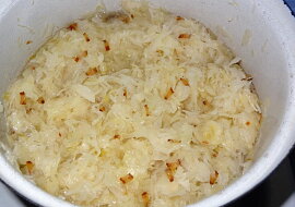Jihočeská lepenice