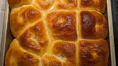 Buďáky (slíváky) (Výborné)