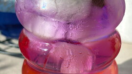 Blue butterfly tea