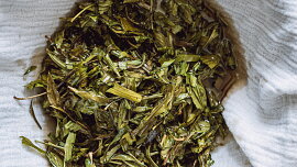Nevařený jitrocelový sirup