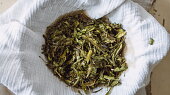 Nevařený jitrocelový sirup
