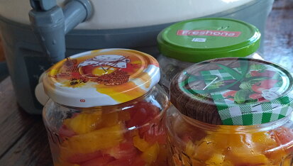 Lečo jako polotovar, V zime akoby som našla čerstvé