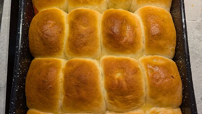 Buďáky (slíváky)
