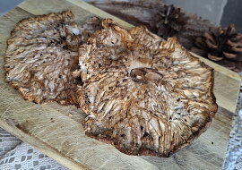Bedly na kmíně z horkovzdušné fritézy