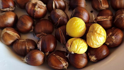 Pečené kaštany v horkovzdušné fritéze