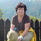 Misev