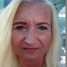 Pavlisim