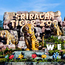 Tigertopiasrirachazoo
