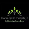 mathiassvendsenchristiansfeld