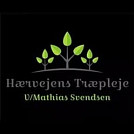 mathiassvendsenchristiansfeld