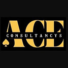 aceconsultancysusa