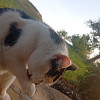 Kubabuba14